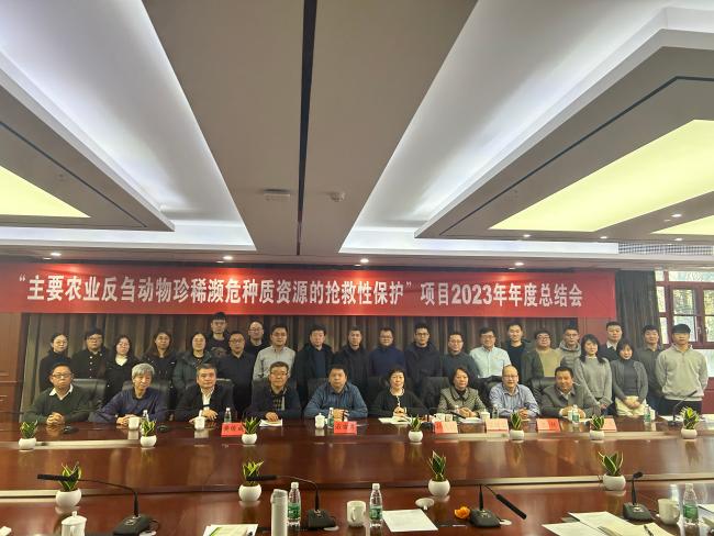 &ldquo;十四五&rdquo;国家重点研发计划2023年度项目年度总结会